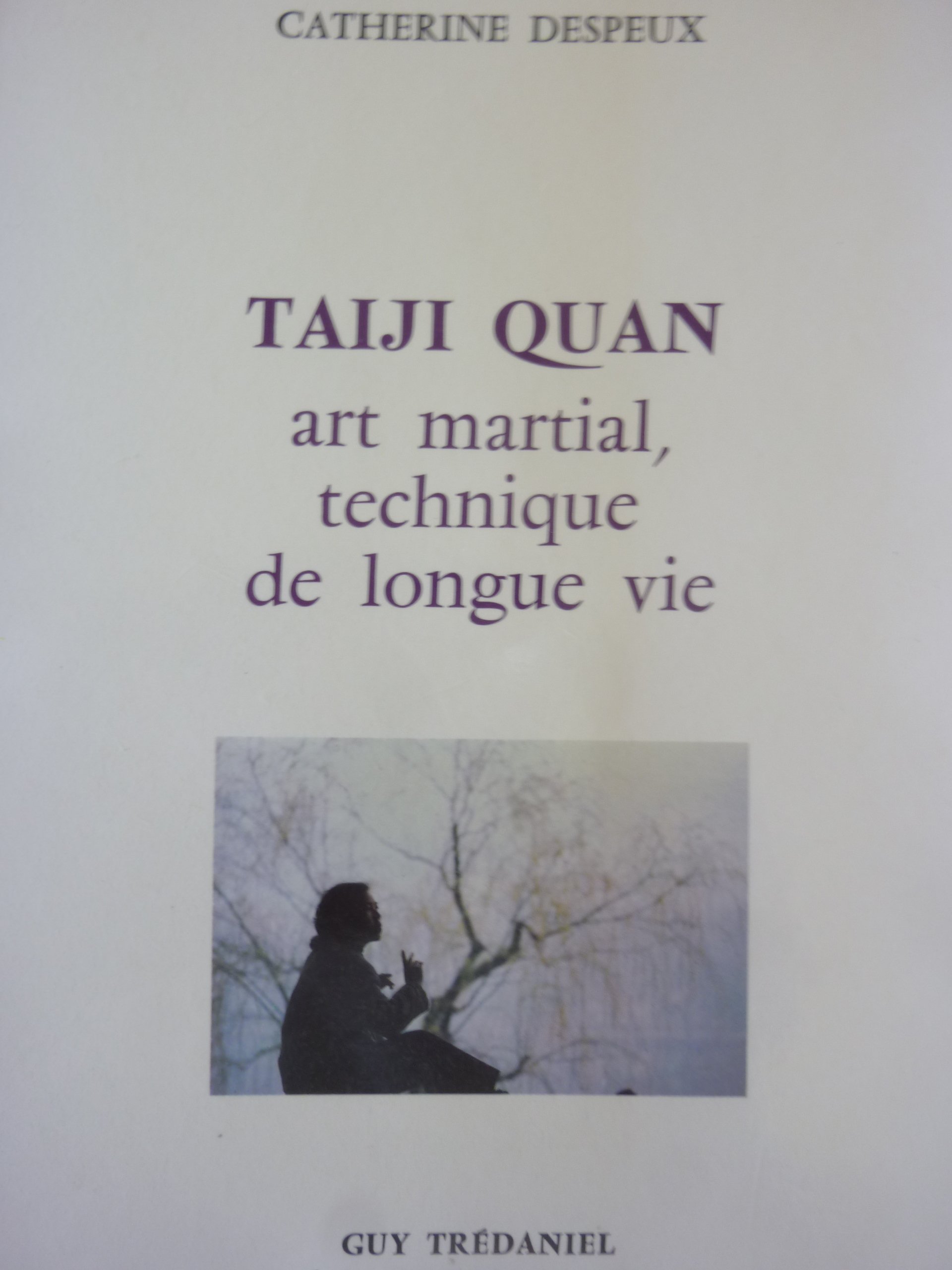 Taiji Quan Art Martial